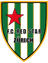 FC Red Star Zurich Youth