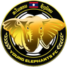 Young Elephants (W)