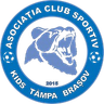 ACS Kids Tampa Brasov (F)