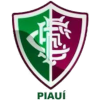 Fluminense-PI (base)
