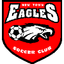 New Town Eagles