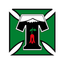 Deportes Temuco (feminino)