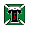 Deportes Temuco (feminino)