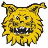 Ilves Sub-20