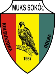 Sokol Kolbuszowa Dolna