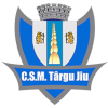CSM Târgu Jiu
