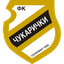 FK Čukarički