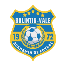 Bolintin Vale