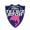 Telsizspor Femenino