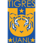 Tigres Femenino