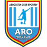 ARO Muscelul Câmpulung