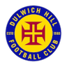Dulwich Hill Sub-20