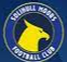 Solihull Moors femenino