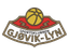 Gjøvik-Lyn