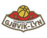 Gjøvik-Lyn