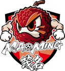 Equipo de Maoming
