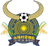 Tim Sepak Bola Desa Shuiwei