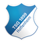 Hoffenheim femenino