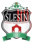 LKS Ślesin