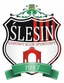 LKS Ślesin