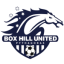 Box Hill Femenino