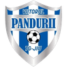 ACS Viitorul Pandurii Târgu Jiu