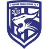 Wuhan Three Towns sub-15