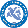 ACS Kids Tampa Brașov