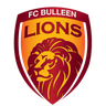 FC Bulleen Lions