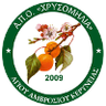 AMOK Chrysomilia Femenino