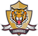 Tigres Zipaquirá