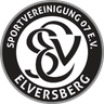 SV Elversberg U17