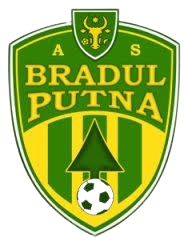 Bradul Putna