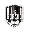 KS Gorzno (F)
