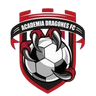 Academia Dragones FC