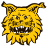 Ilves II Femenino