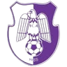 ACS Campionii FC Argeș (Femenino)