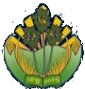 Kampong Speu Kampong Speu