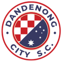 Dandenong City Sub-23