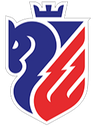 FC Botoșani