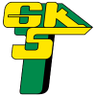 GKS Gornik Leczna Femenino