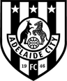 Adelaide City Reserva
