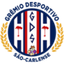 São-carlense