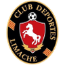 Deportes Limache