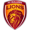 FC Bulleen Lions Femenino