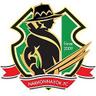Nakhon Nayok FC