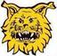 Ilves Tampere Femenino