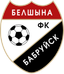 Belshina (F)