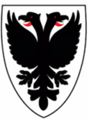 AFC Wimbledon Femenino