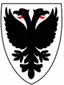 AFC Wimbledon Femenino